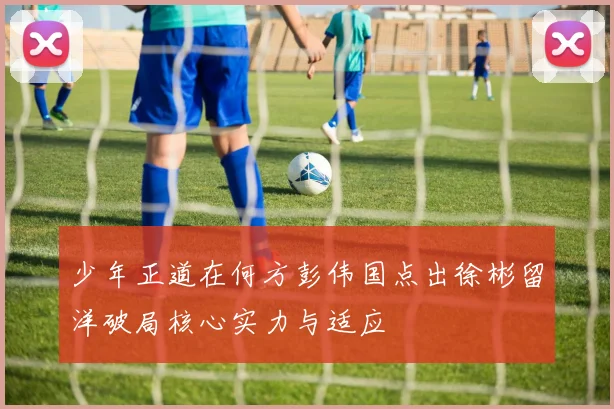 少年正道在何方彭伟国点出徐彬留洋破局核心实力与适应